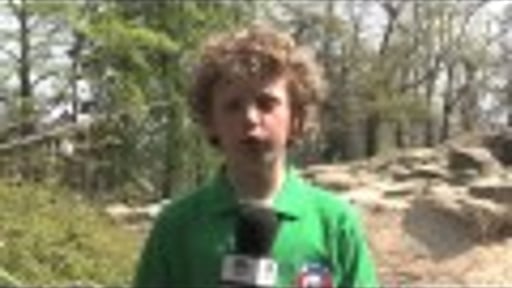 WNF Ranger Troy: Zijn olifanten nou wel of niet bang voor muizen?