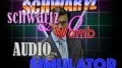 The Schwartz Womb Audio Simulator from Schwartz & Co.!