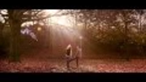 Stunt Reel | Nick Roeten