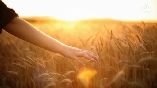 Wake Up Start Dreaming - Michael Pilarczyk