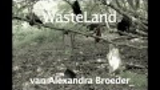 WasteLand fin.mov