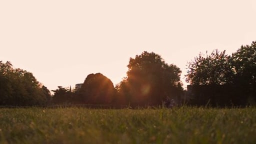 Canon 650D Raw Test + Magic Lantern