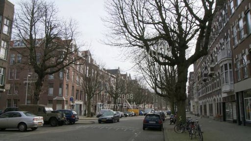 Stadsbomen - Urban Trees