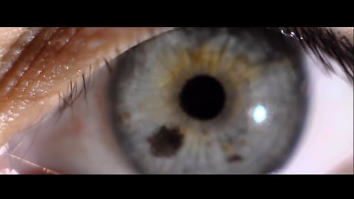 SHOWREEL 2014 - InFocus Producties