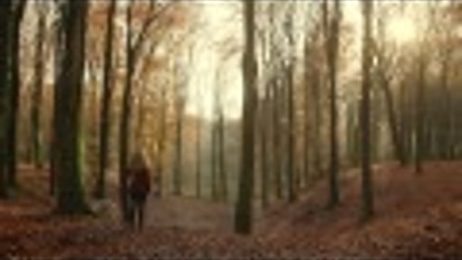 Het zit in onze natuur