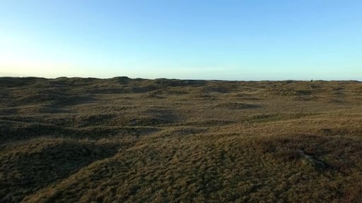 07 Duinen 3