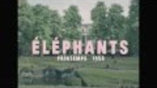 BLAUDZUN - ELEPHANTS (Official video)
