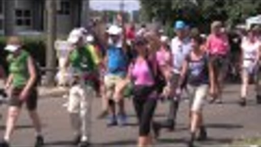 Hoogtepunten 4Daagse 2014