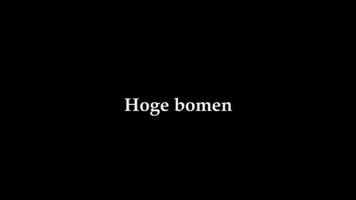 hoge bomen trailer