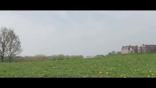 Preview Zomerfeest 2015
