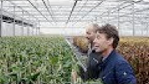 Bedrijfsfilm laten maken