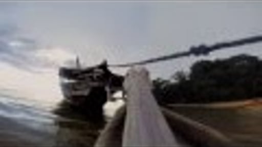 The Flight of The Pelican