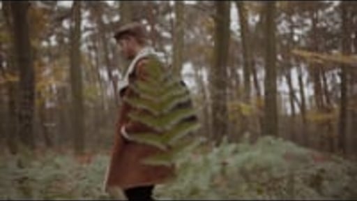 A weekend in the woods
