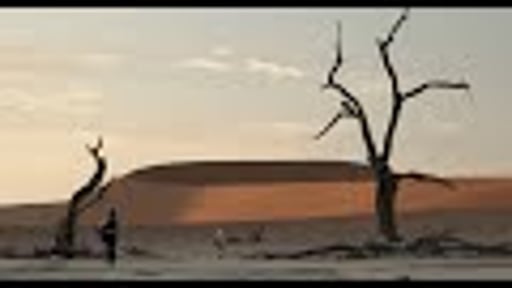 Invisibles (Kaunapawa) trailer