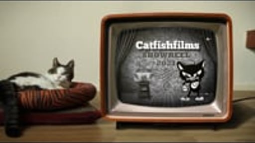 Showreel Catfishfilms