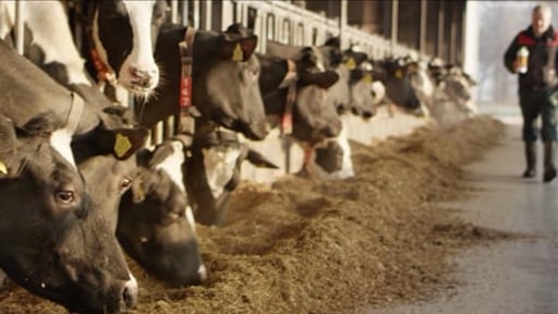 Interchemie Corporate Film