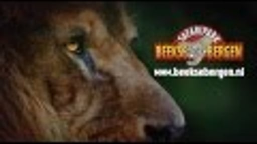 Beekse Bergen Commercial 2016
