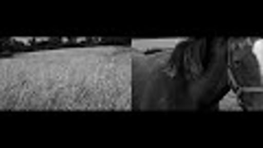 Thelema (soundtrack demo )