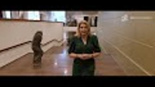 SHOWREEL 2024   ROXANA VAN DER MEULEN