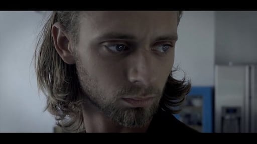 Änimal - Lights