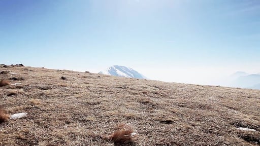 at 2060 mt altitude