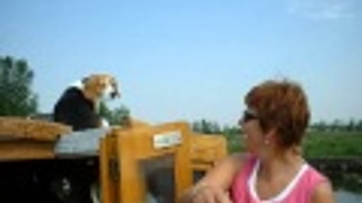 sweetkisz een groot gemis