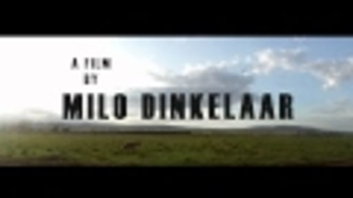 Red Oat (Milo Dinkelaar)