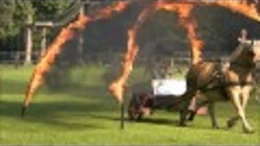 Dance of the Fire horses