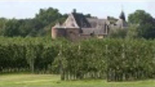 Duurzaam fruittelen in de Bommelerwaard.mov