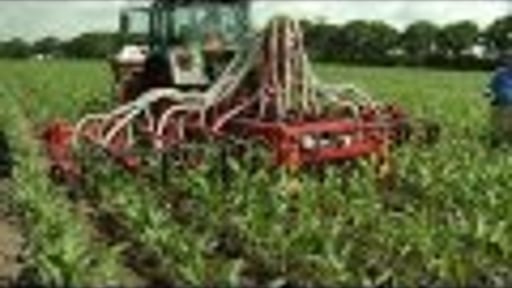 Nieuwste technieken mechanische onkruidbestrijding