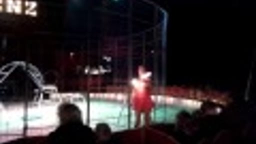 circus renz-berlin