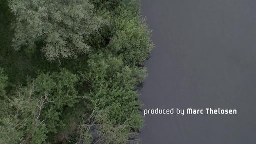 Come Spring (2009)