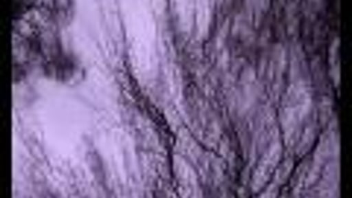 SURSUM CORDA