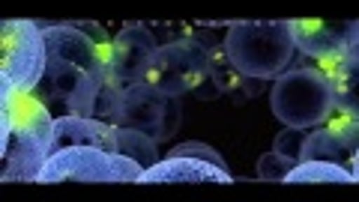 Showreel