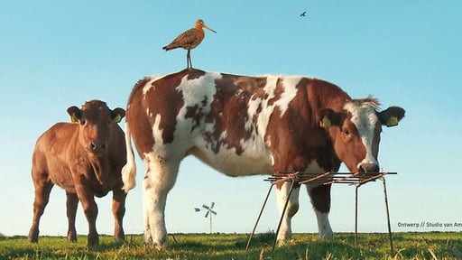 Alles voor de Grutto trailer