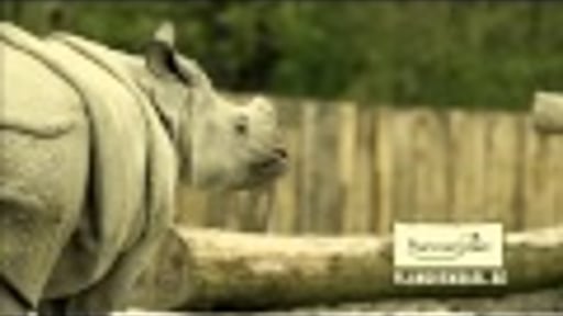 Planckendael TV-spot 2013