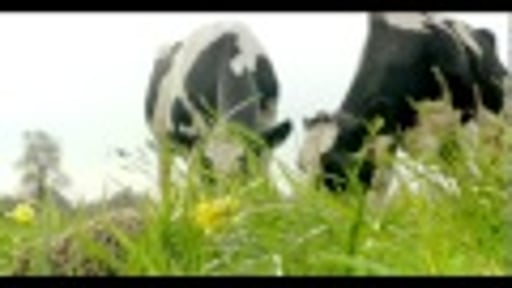 Het verschil zit m in de Beemster commercial mei 2012
