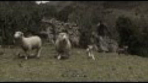 Larva Peruzzotti - Reel 2013