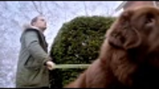 Frank de Boer houdt Ronald aan het lijntje!