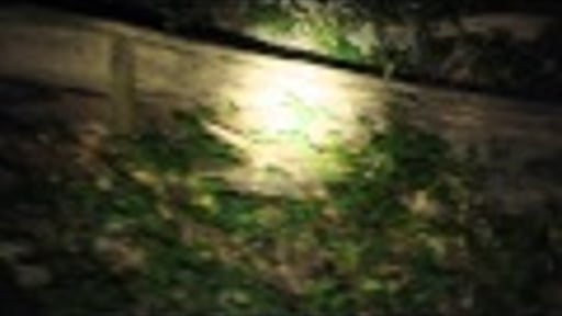 De Bunker - Trailer