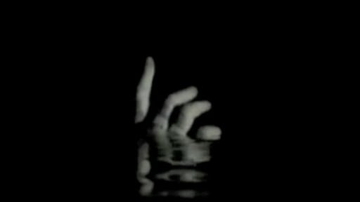 SHOWREEL, ARIE VAN DAM.