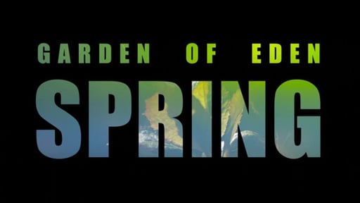 Garden Of Eden - Spring (In The Hidden City Garden)