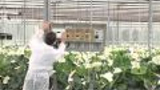 Cogas zuid installatiewerk tuinbouw en industrie