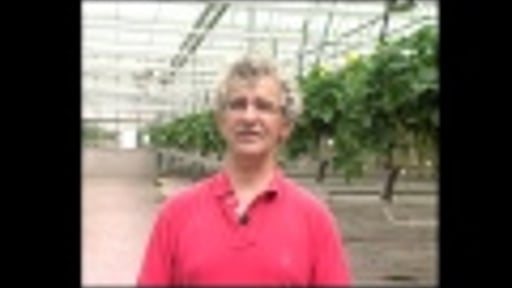 Tuinbouw en export horticulture