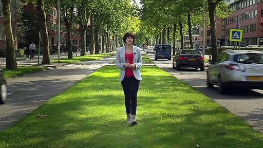 Luchtkwaliteit onderzoek Rekenkamer Amsterdam