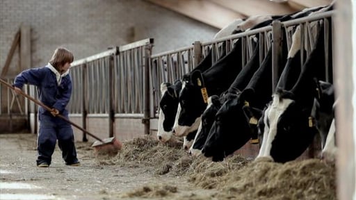 Stom - Een kort jeugddrama van Lotje Kerckhaert