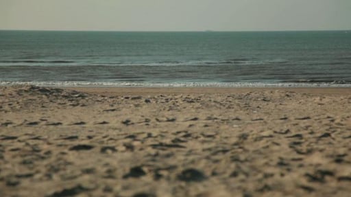 www.kust.nu