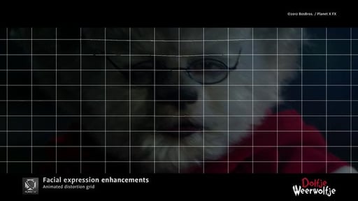 'Dolfje Weerwolfje' (2012) | VFX Breakdown