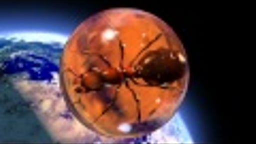 Elysiants animatie beeldmerk