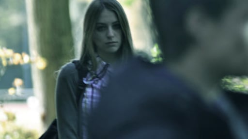 Unofficial Trailer Dutch movie project